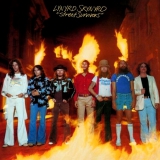 STREET SURVIVORS