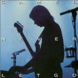 NEVER LET GO