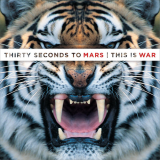 THIS IS WAR