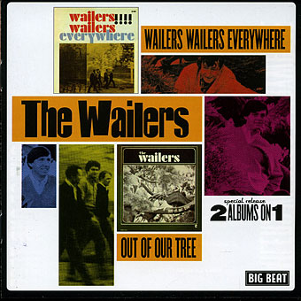 WAILERS WAILERS EVERYWHERE / OUT OF OUR TREE