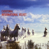 INTERNATIONAL VELVET