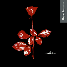 VIOLATOR